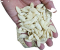 New Organic Natural AD Dried Canarium Album Kernel Bulk Vacuum Pack for Health Food