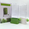 Kitchen Supplier Hot Selling Vanilla Vegetable Preservation Device Coriander Herb Preservation Box Food Container