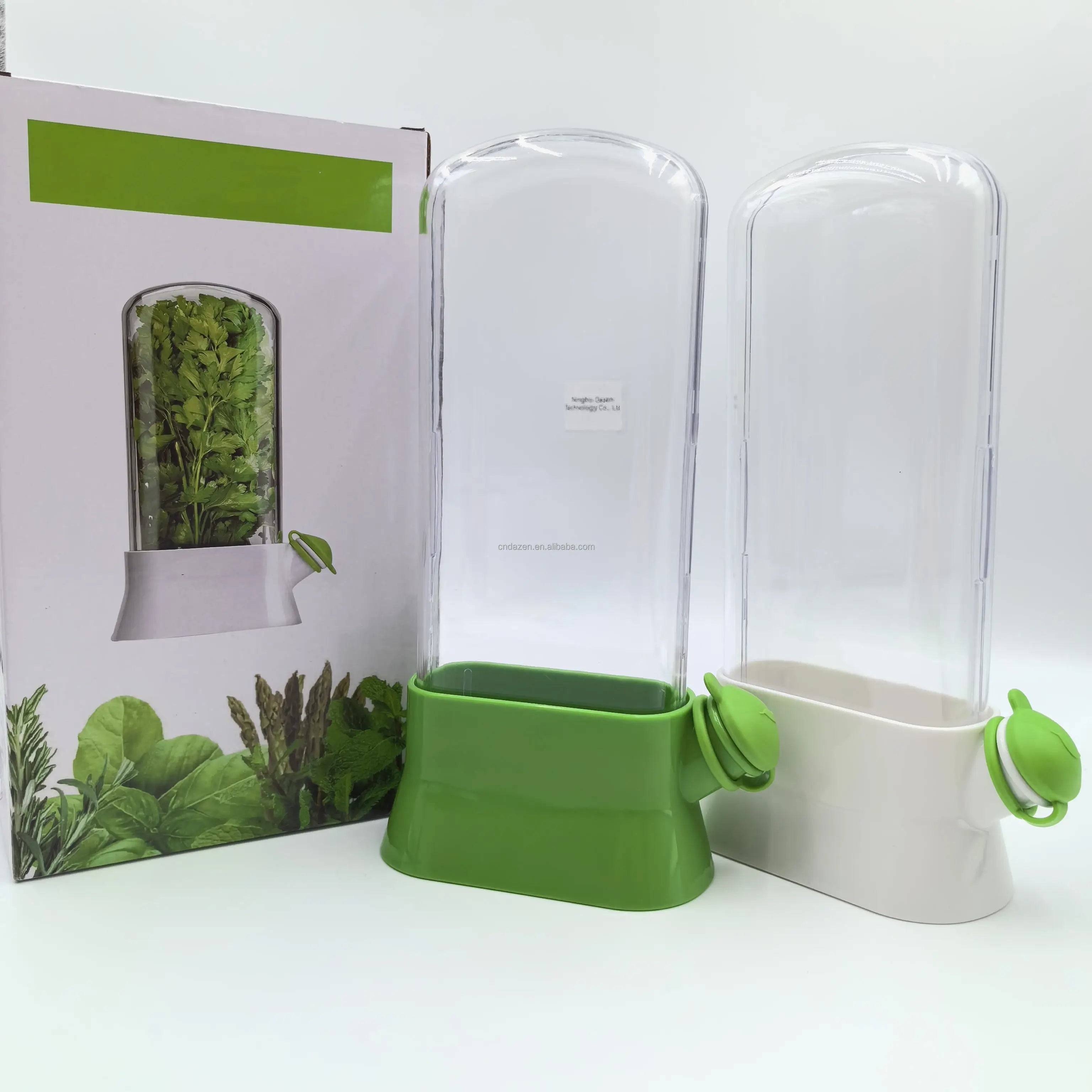 Kitchen Supplier Hot Selling Vanilla Vegetable Preservation Device Coriander Herb Preservation Box Food Container