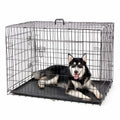 Teddy Bitter Bear Chihuahua Dog Cage Small Medium Pet Kennel Iron Material Household Cat Cage Toilet Animal Crate Live Use