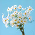 AF0906 5 Bundles Artificial Silk Daisy Flower Bouquet Artificial Plants for Home Table Centerpieces Arrangement Small Daisy Cos