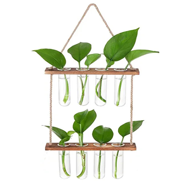 Hot Sale Wall Hanging Planter 2 Tiered Plant Propagation Planter Stations Plant Terrarium for Hydroponic Plant Home Office Decor