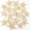 20 PCS 1"-3" Bulk Natural Starfish for Wedding Beach DIY Crafts Christmas Tree Ornaments