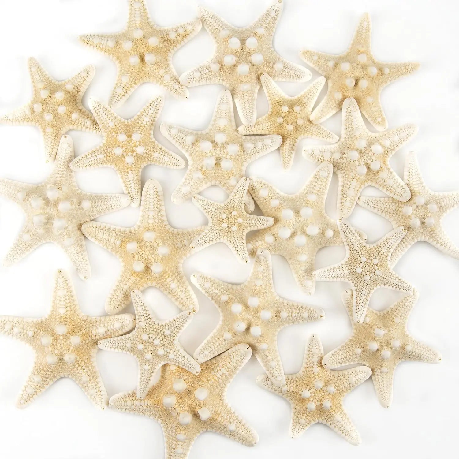 20 PCS 1"-3" Bulk Natural Starfish for Wedding Beach DIY Crafts Christmas Tree Ornaments