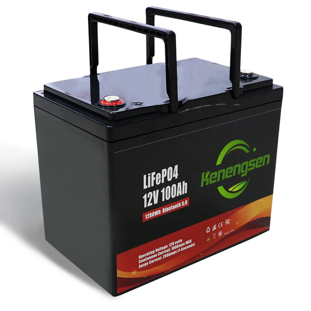 Customized LiFePo4 Battery 12V 24V 48V 100AH 200Ah 300Ah 400Ah Lithium Ion Solar Battery Storage Systems MegaBDM