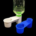 Pigeon Drinker Pigeon Waterer