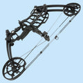 Archery 40-65 LBS Dual-Purpose Compound Bow Hunting Catapult Bow Steel Ball and Arrow for Shooting Target Accessories