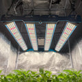 EU Stock! Newest! King Brite Samsung LM301H EVO KingBrite Led Grow Light 240W KB Led Boards Grow Bar
