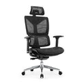 NOEL Luxury Ergonomic Full Mesh Office Furniture Chairs High Back Executive Office Chair