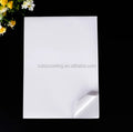 Quick Dry A4 Size Self Adhesive Glossy Pearl White Inkjet and Laser Printer Sticker Paper for Laser and Inkjet Printer MegaBDM