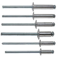 Round Head Rivet  ISO 15977    DIN 7337    GB/T 12618    Blind Rivet    Has Different Colors Head