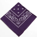 Bandanas for Women Girls Paisley Pattern for Men Boy Face Mask Square Scarf Headwear Party Outdoor Scarf Headband Handkerchiefs