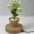 360 Rotating Magnetic Bonsai Levitating Floating Plants Flower Pots for Decoration Gift