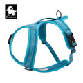 Truelove Stocked Outdoor No Pull Reflective Dog Harness and Leash Set Wholesale Luxury Fashion Traffic Handle Pet Training Vest