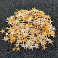 1000Pcs 0.5-3cm Mini Starfish Craft Decoration Natural Sea Stars DIY Beach Cottage Wedding Decor Crafts Wedding