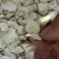 New Wilford Swallow Wort Wilfords Cynanchum Rhizome Slices