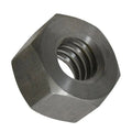 Coupling Nut Acme Threads Clamp Brass Hex Nut ACME Plain Finish Heavy 34 Acme Hex Nut