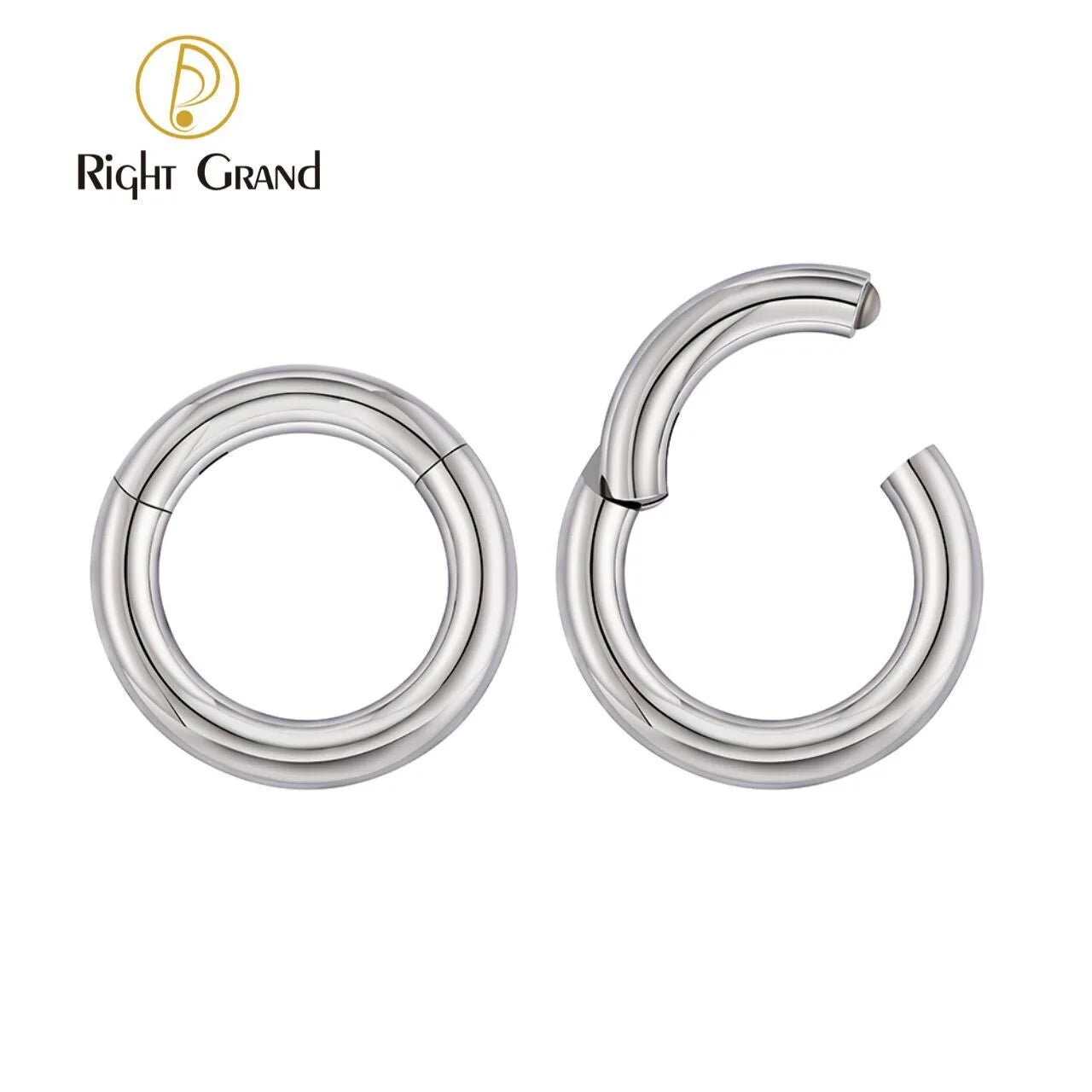 Large Gauge ASTM F136 Titanium Hinged Segment Nose Hoop Ring Helix Earrings