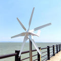 Mini Size S800000W 12V 24V Horizontal Axis Wind Turbines with Controller for Home Use