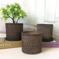 Indoor P73 Succulent Planter Pot 13cm Clay Terracotta Pottery with Drainage Saucer for Garden Use Features Cactus and Plants