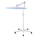 High Lumen Light Changeable LED Dimmable Desk Light for Drawing Beauty Equipment Illuminated Workbench Desk Clamp Lamp
