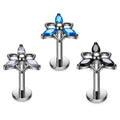 G23 Titanium Piercing Ear Stud for Women Clover Shaped 16G Zircon Inlay Ear Tragus Cartilage Helix Daith Piercing Jewelry