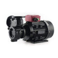 Wm-30 3HP 2.2kw 85m Head 140lpm Heat Votex Oil Pump for Pumping High Temperature Liquids