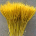 Wholesale 100pcs 65cm Nature Ear of Wheat Gold Home Wedding Decoration Dry Flower for Graduation Easter Packed for Convenience