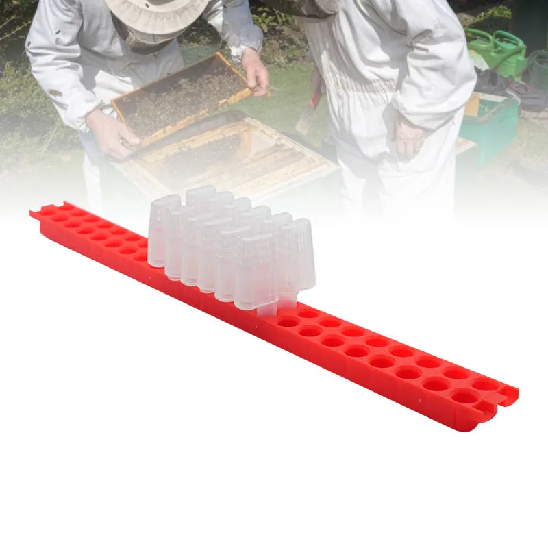 Queen Rearing Tool JZBZ Plastic Queen Cage Shipping Bar New Condition Queen Shipping Strip