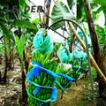 Agriculture Farm Banana Transport Rollers Banana Hook Cable Trolley Roller System