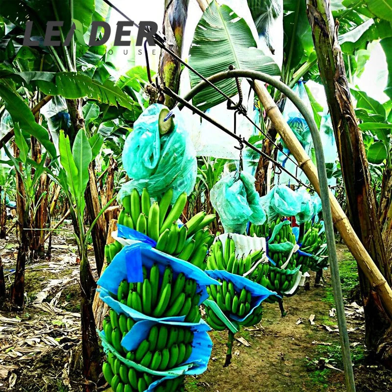 Agriculture Farm Banana Transport Rollers Banana Hook Cable Trolley Roller System