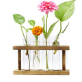 Home Office Bud Plant Terrarium Hydroponic Glass Planters Table Decoration Propagation Station test Tube Vase with Wooden Stand