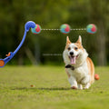 Portable and Foldable Ball Launcher for Dogs Interactive Tennis Ball Thrower Outdoor Training Toy
