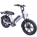 For Customized 20-Inch Wheel Aluminum Alloy Frame Electric Bike 750W Fat Tire with 48V 15Ah Lithium Battery Made in China