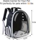 Wholesale Large Transparent Space Capsule Cat Carrier Backpack Airline Approved Breathable Nylon Plastic Bubble Bag Design