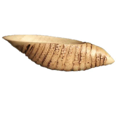Bamboo Wood Eco-Friendly Party Snack Fruit Food Root Tray