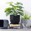 Nordic Table Top Creative Grain Flowerpot Square Big Simple Cement Maceta Maceteros Vivero Plastico Plant Pot