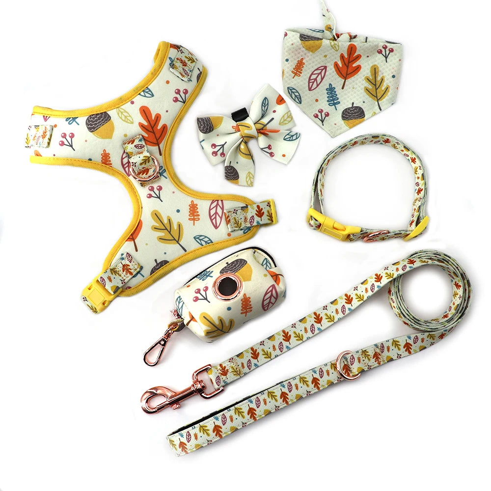 2024 Custom Designers Personalized Logo Dog Leash and Harness Adjustable Luxury Neoprene Mesh Soft Pet Dog Harness Set