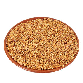 Bai Zi Ren Traditional Biota Seed Kernel for Herb