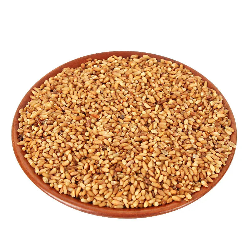 Bai Zi Ren Traditional Biota Seed Kernel for Herb