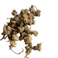 Zhu Zi Shen Natural Dried Panax Japonicus Var. Major Rhozime Root for Herb