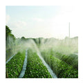 Hot Selling 8.5Mm Farming Pipe Super Spray Rain Hose With Great Price