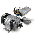 48V500W Unite Electric Rickshaw  Adult Electric Tricycle Brushless Dc Gear Motor Spare Parts Conversion Kits