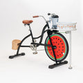 EXI Heavy Load bicycle for Adults-Smoothies Blender Pedal Power Fruit & Vegetable Juicer Machine Bike for Other Amusement Park