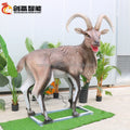 L=1.8m Ibex Zoo Equipment High Simulation Animal Manufacturer