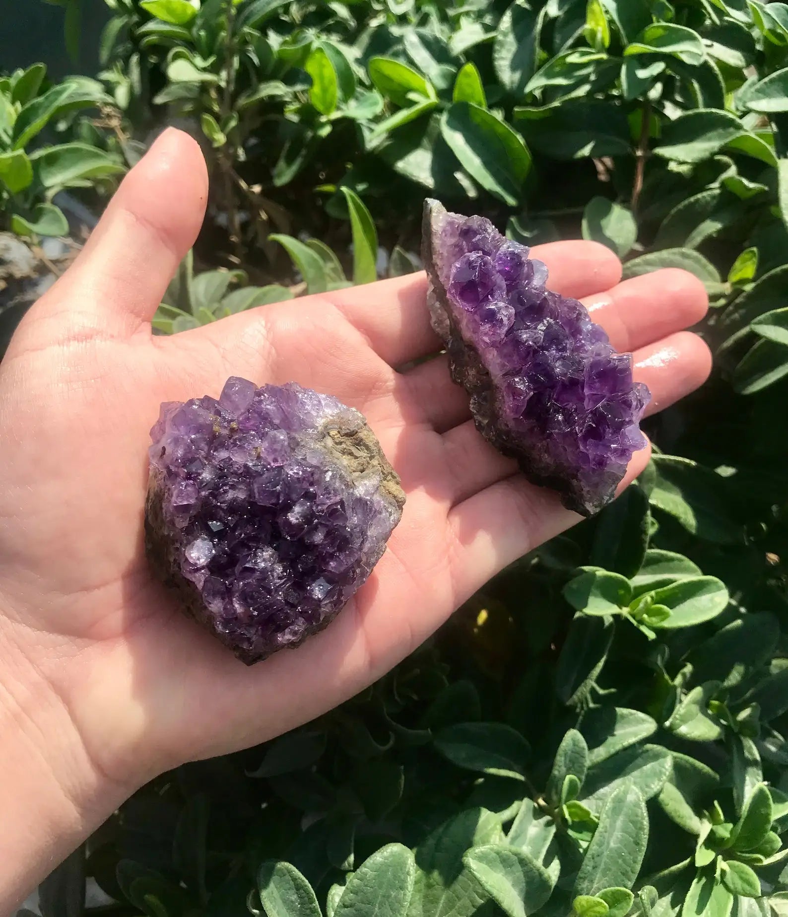 Natural Gemstone Random Mini Ore Amethyst Cluster Natural Raw Mineral Specimens for Desktop Home Decor Gift