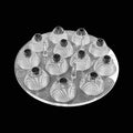 Acrylic PMMA Injection Mold Building Moulding Tools Making Products HighTransparent Plastic Parts Clear Pc Injection Mold
