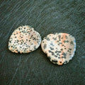 DIY Home use Custom colorful natural Dalmation jasper worry stone tumb stone gemstone