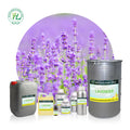 HL Best Bulgarian Lavandula Angustifolia Oil Bulk Supplier1Kg Pure Lavender Essential Oil for Skin Hair Sleep Diffuser