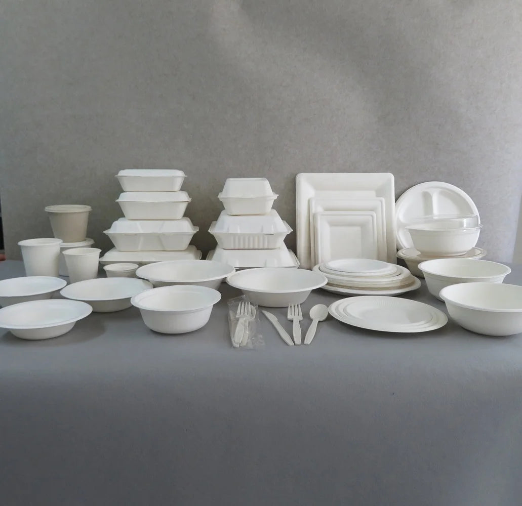 Wholesale Biodegradable Sugarcane Bagasse Fast Food Lunch Plastic Packaging